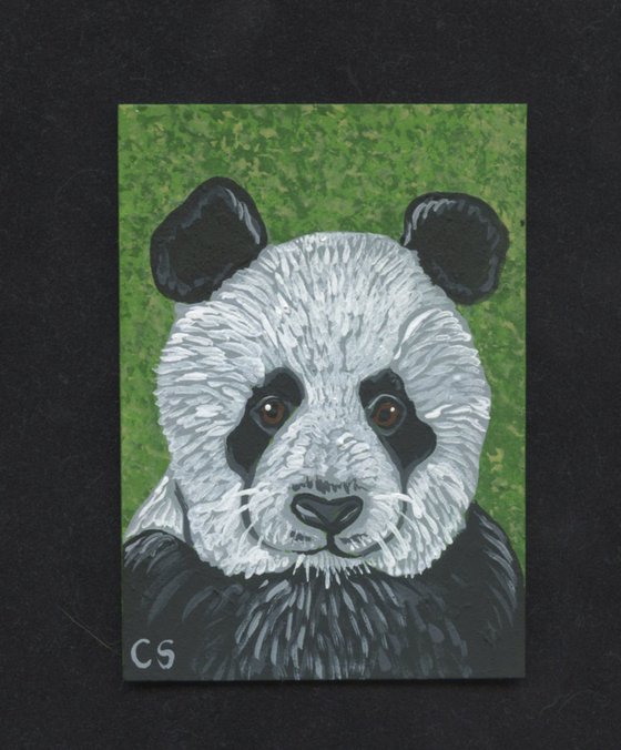 ACEO ATC Original Miniature Painting Panda Bear Wildlife Art-Carla Smale