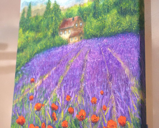 Lavender field