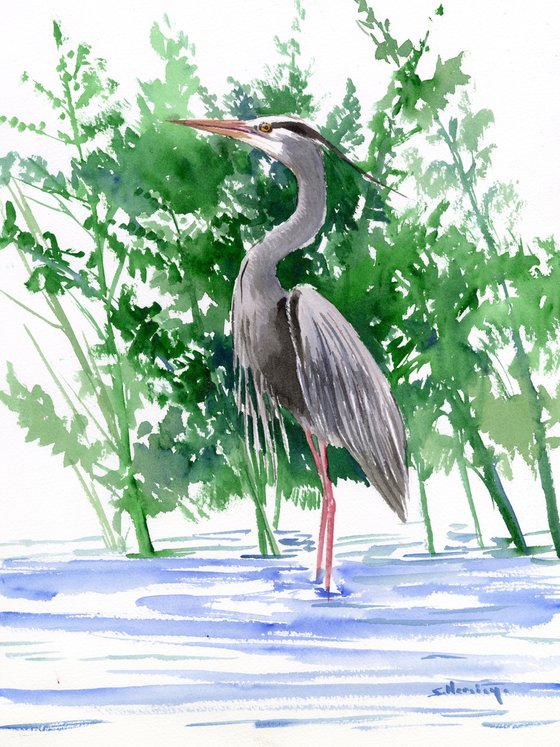 Blue Heron