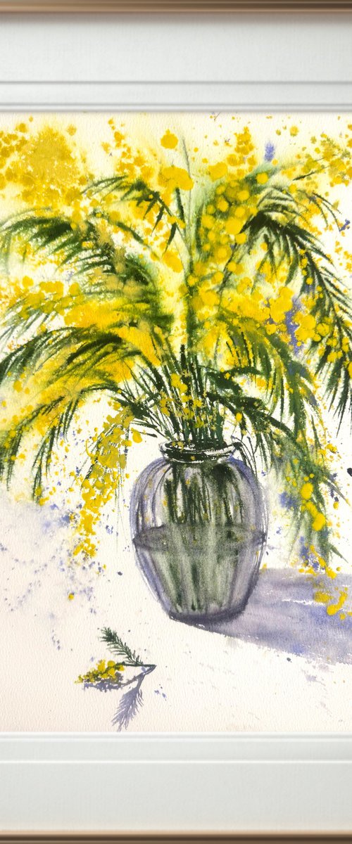 Mimosa branch Acacia Dealbata by Yuliia Sharapova