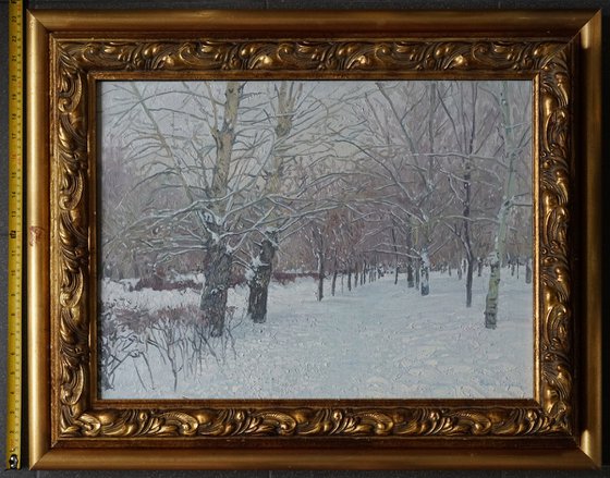Snow-covered boulevard in Maryino