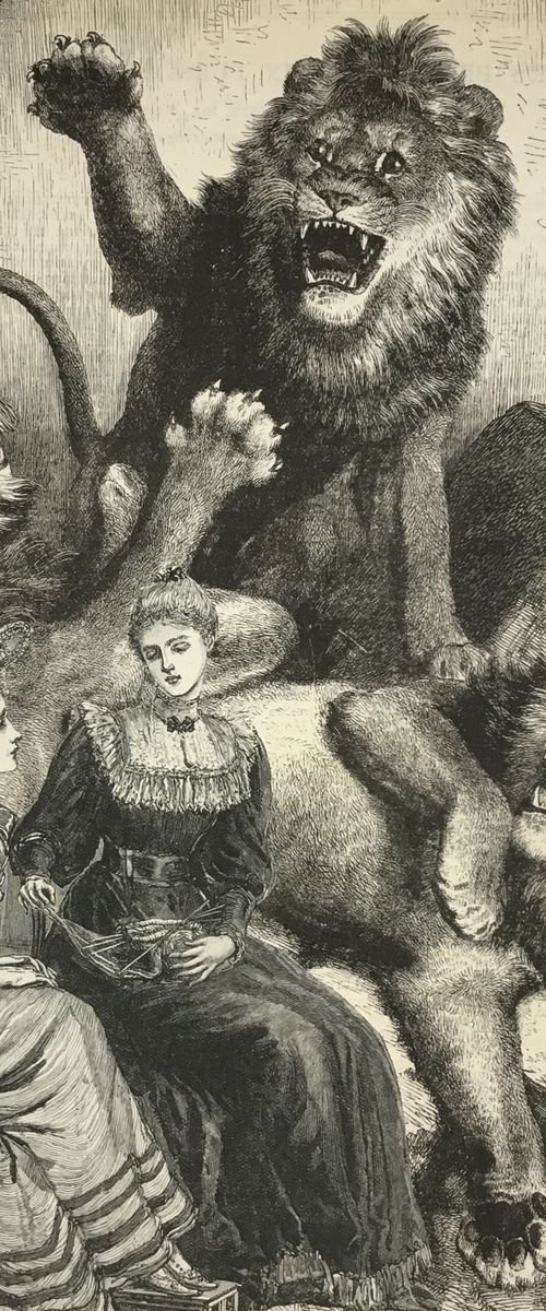 Lilly and Violet in the Den by Tudor Evans