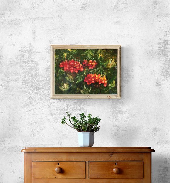 Red Viburnum