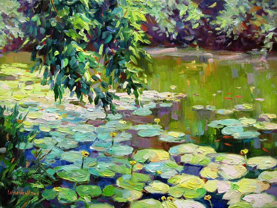 Overgrown pond with water lilies