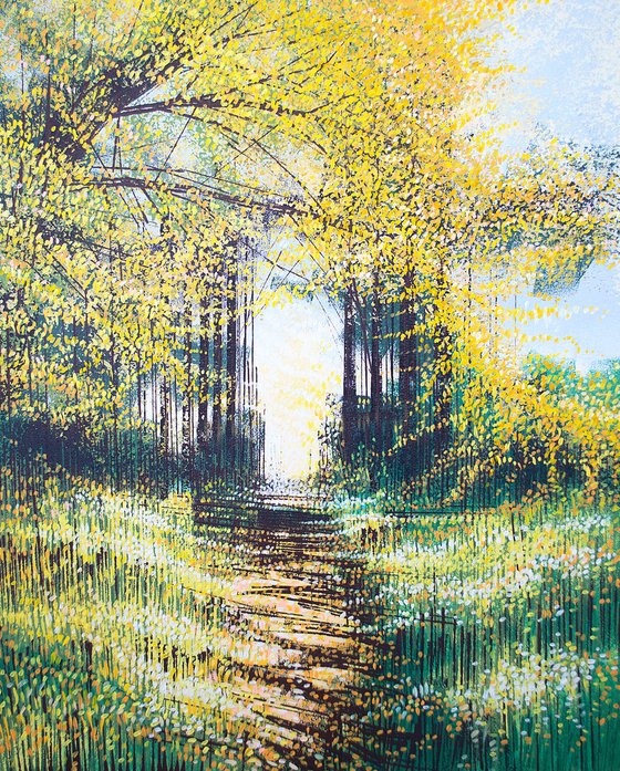 Sunlight Through Autumn Trees