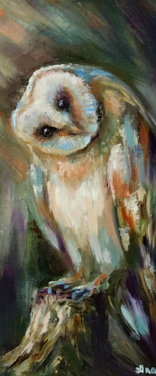 Birds Painting Curious Barn Owl on the Tree Nature Art by Anastasia Art Line