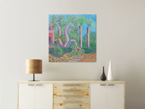 Coral tree in bloom SOLD