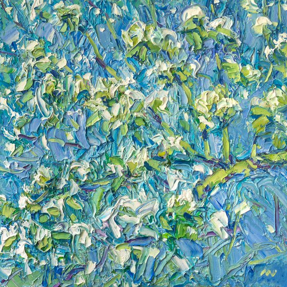 Blooming Apple Tree