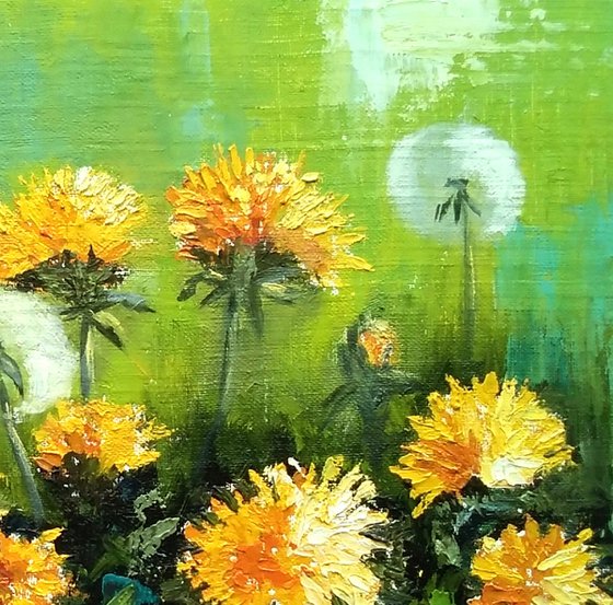 Blooming dandelions