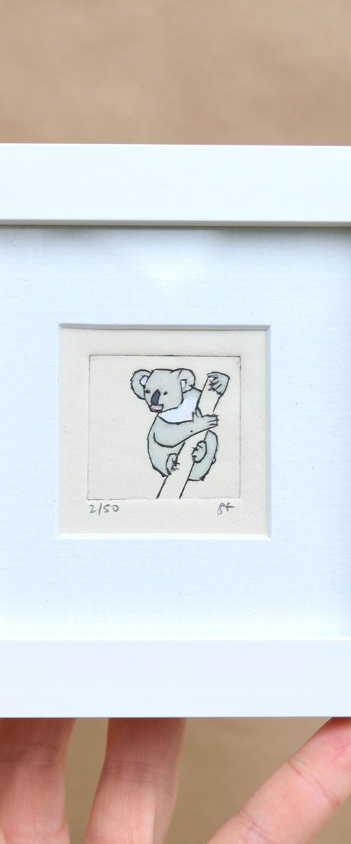 Mini framed koala by Sally Fisher