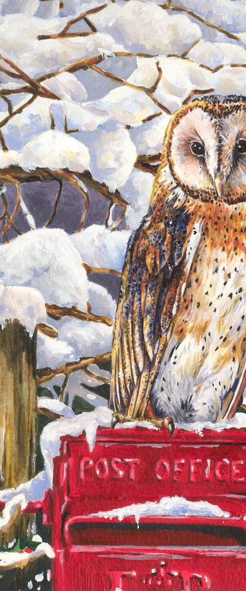 Barn Owl on Postbox by Zoe Elizabeth Norman