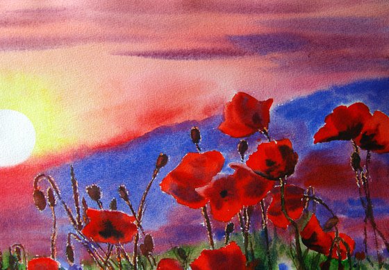 Red poppies