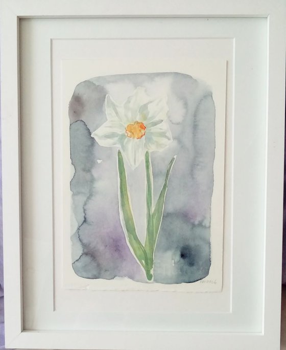 Original Watercolour Painting of a Single Narcissus Flower