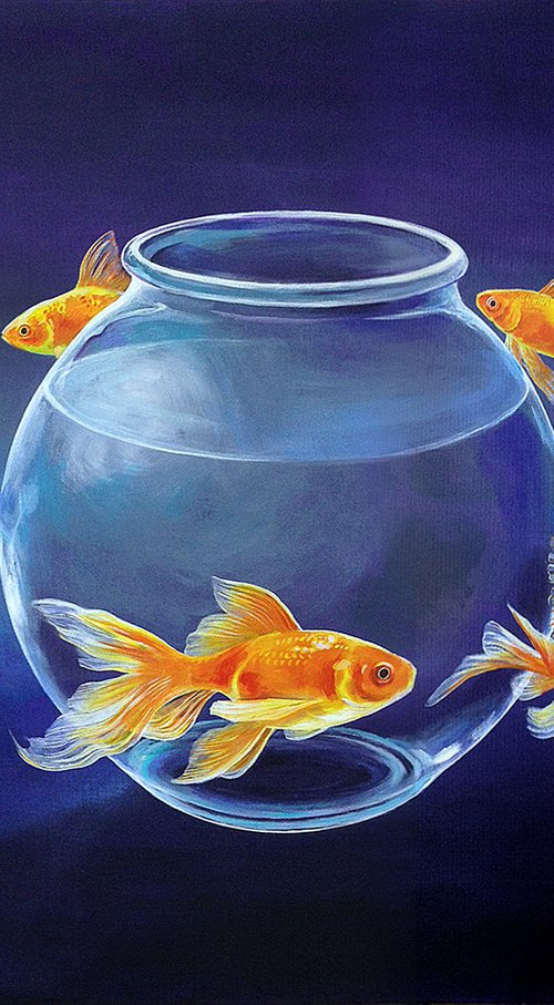 Goldfish Gigantica by Daniel Loveday