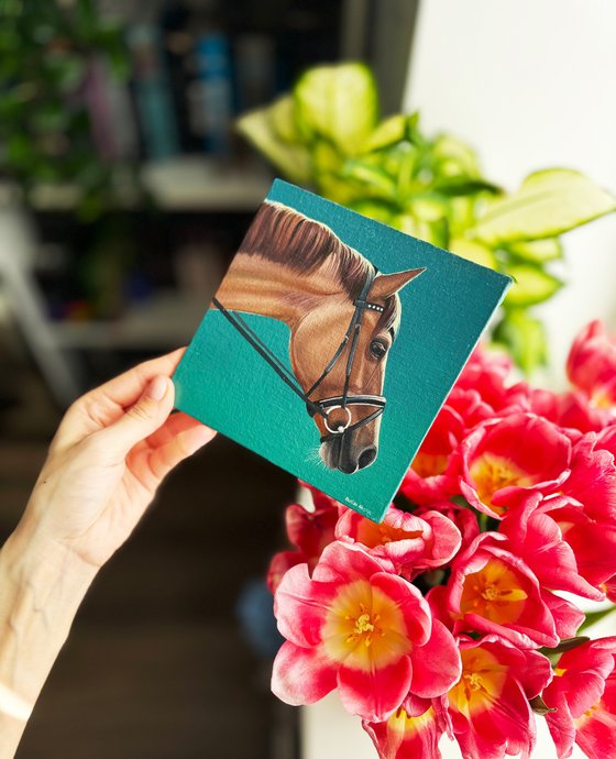 Horse Portrait 3