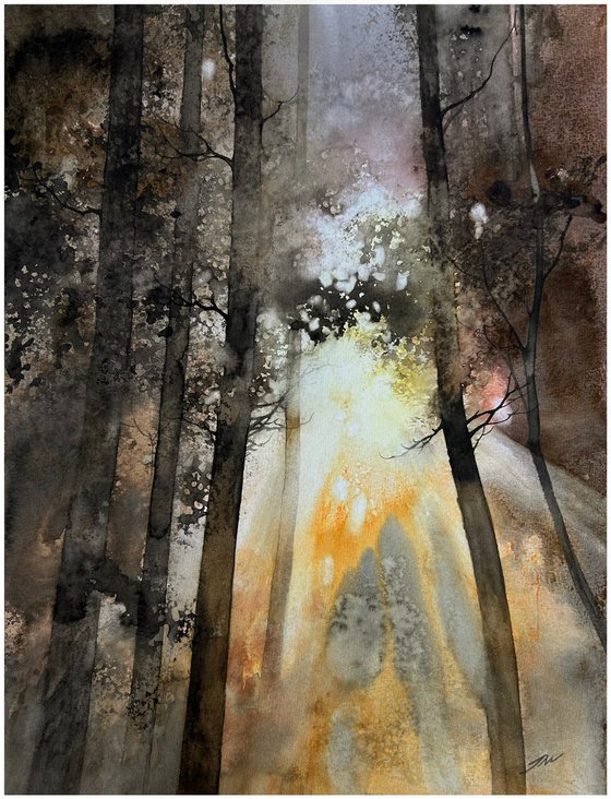 warm forest