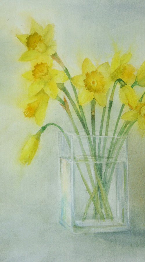 Yellow Daffodils in Glass Vase by Olga Beliaeva Watercolour