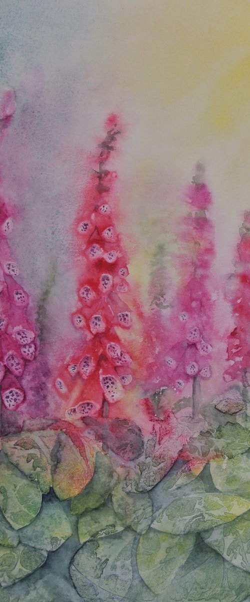 Vibrant Foxgloves - Original Watercolour by JANE  DENTON