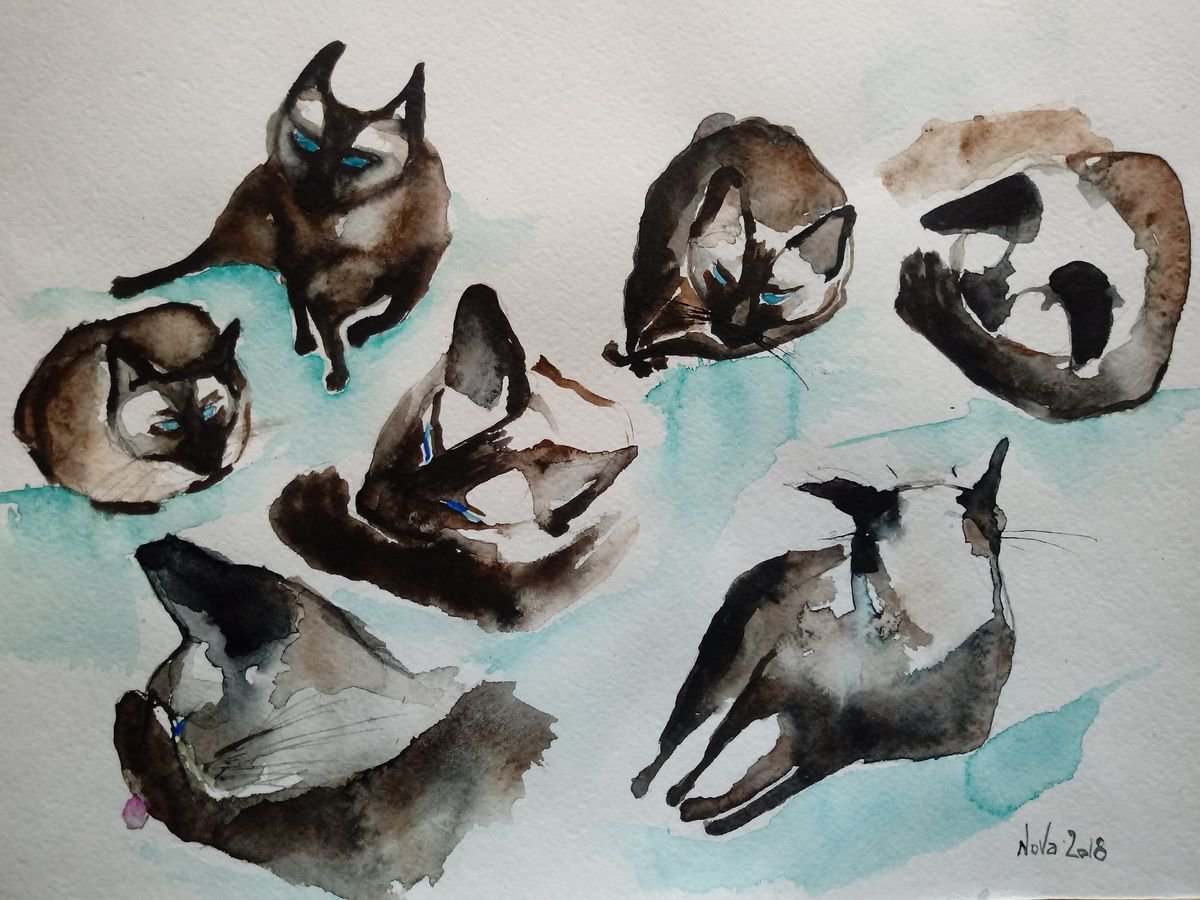 Siamese Cat Sketches by Jelena Nova