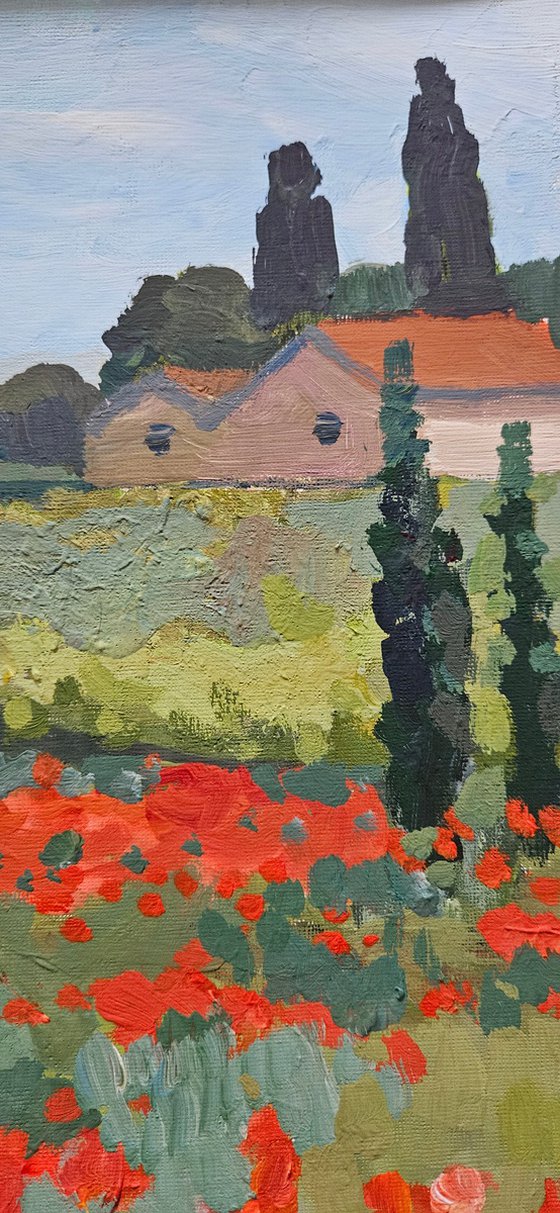 Poppies of Languedoc. French Landscape