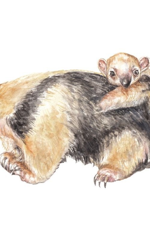 Anteaters Original Watercolor by Lauren Rogoff