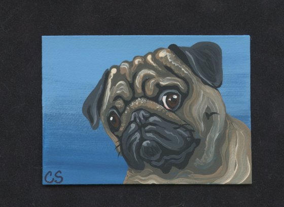 ACEO ATC Original Miniature Painting Fawn Pug Pet Dog Art-Carla Smale