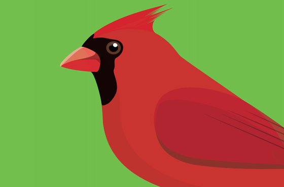 Red Cardinal Bird