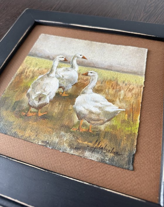 Geese