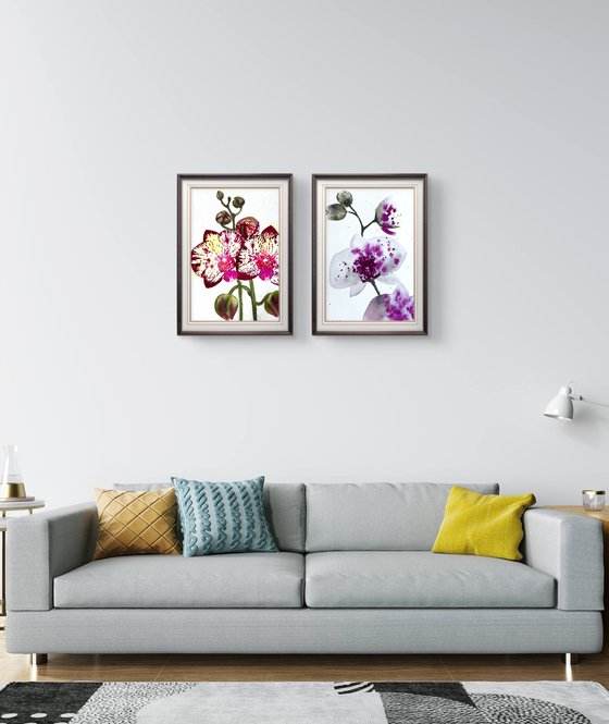 Twin Wild Orchid Purple