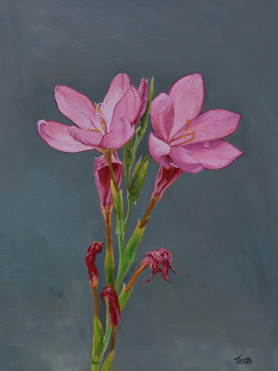 Still Life Oil Painting By Tom Clay, 12 X 16", Pink River Lily, Original Artwork