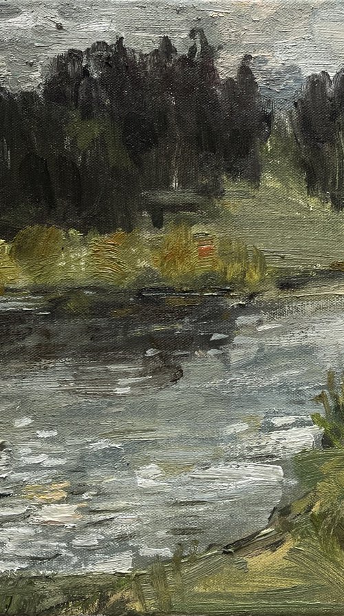 During the rain by Bohdan Dobrivskyi