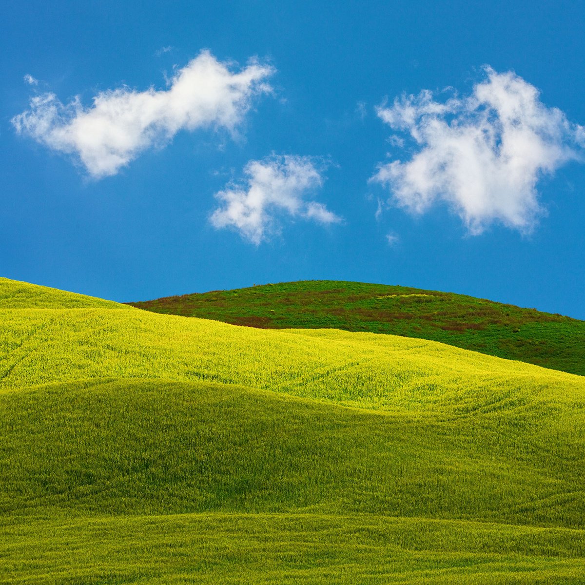 Abstract Tuscany II. by Peter Zelei