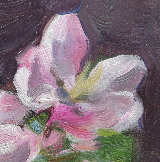 Apple Blossom
