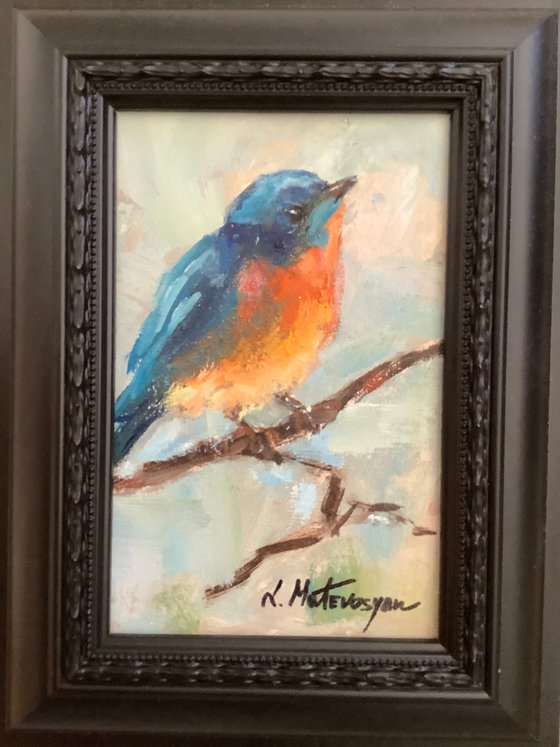 Bluebird