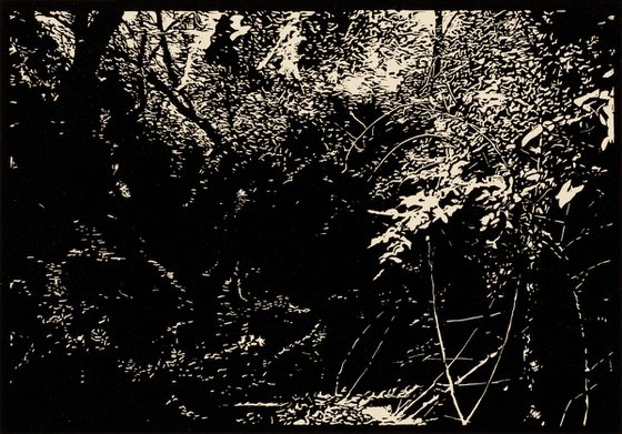 FOX HOLLOW