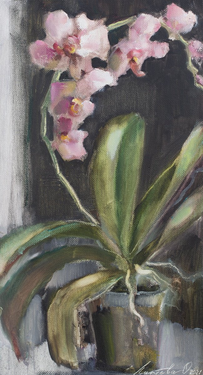 Impressionistic Botanical Oil Painting By Olha Laptieva, 10 X 18", Orchid, Original Artwork
