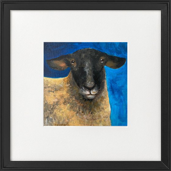 Three sheep portraits framed