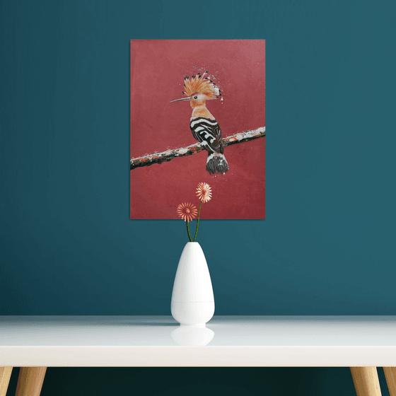 Hoopoe