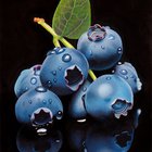 Blueberry