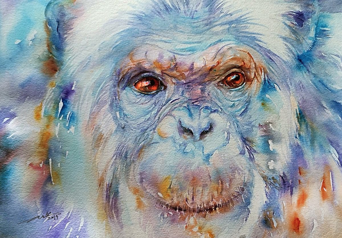 Blue Bonn_Chimpanzee by Arti Chauhan