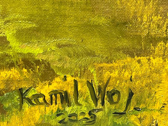 Broadley (view at Brownhills on the left)