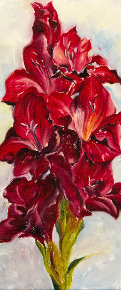 Red gladiolus by Daria Galinski