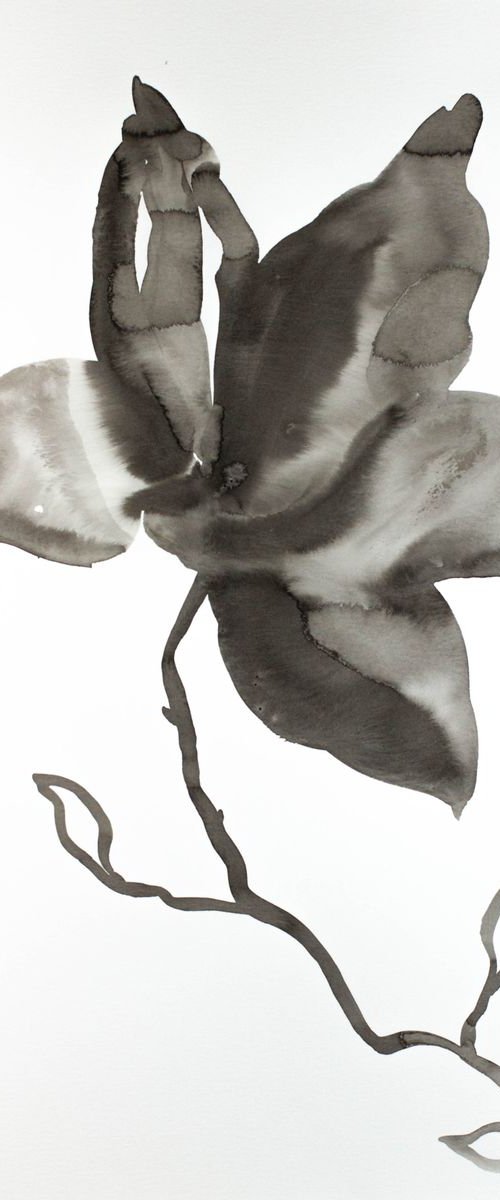 Magnolia No. 16 by Elizabeth Becker