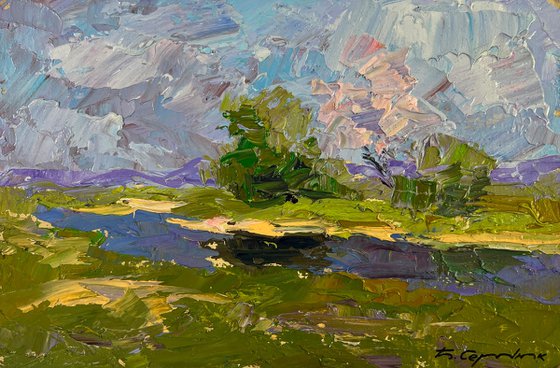 Sunny Day Under a Cloudy Sky