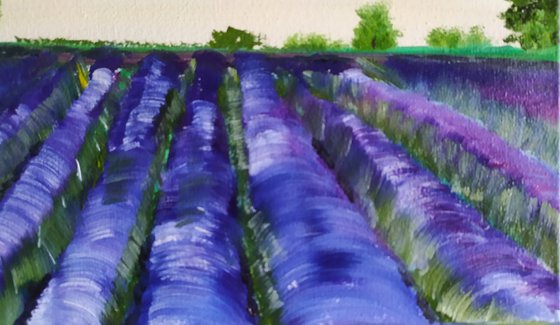 Smell of lavender