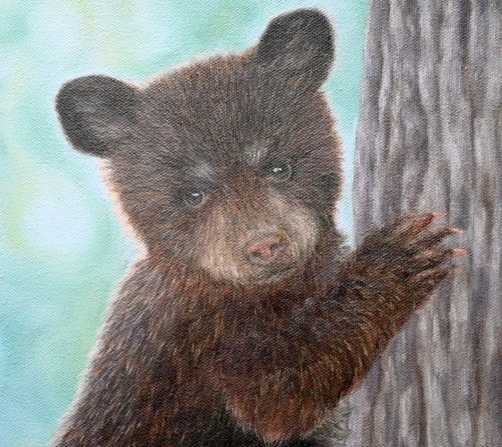 Bear Cub