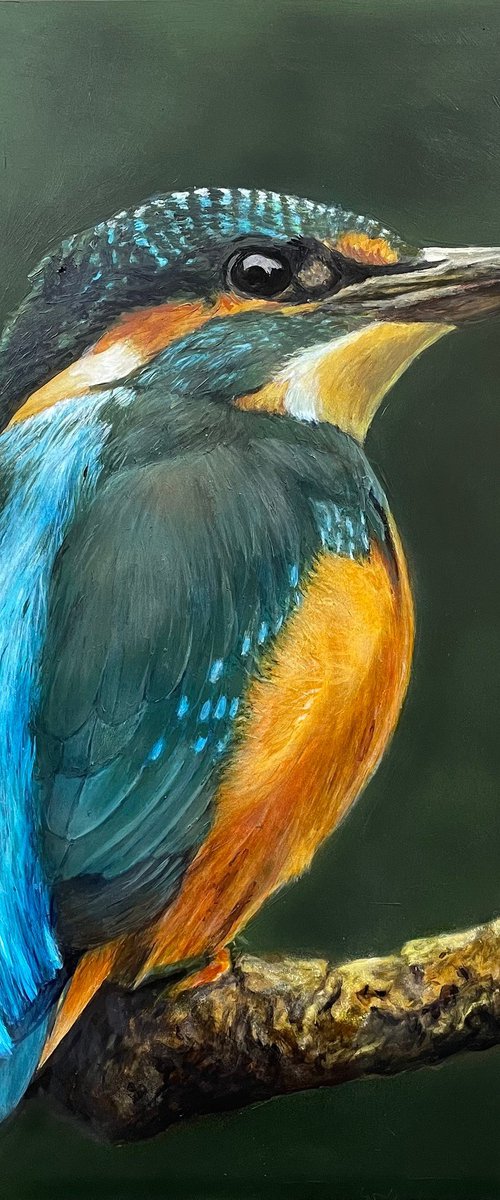 Kingfisher by Maria Arias