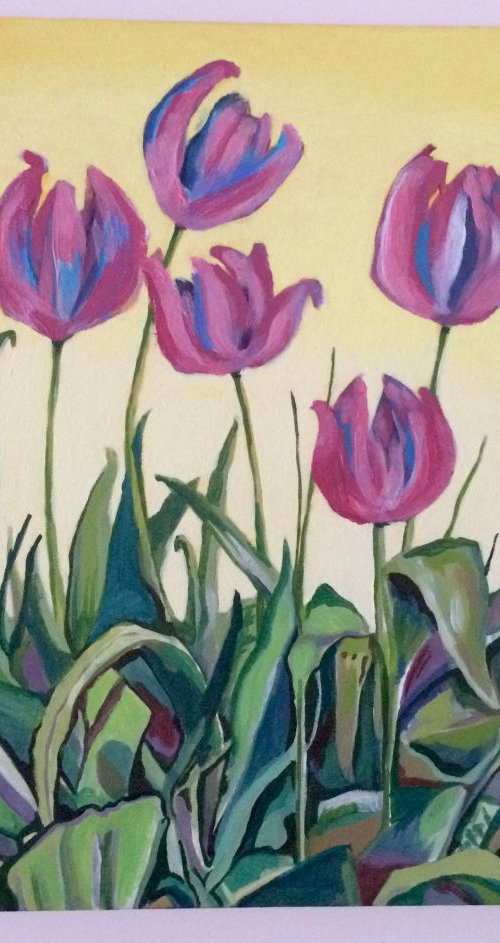 Tulips by Lauren Nickless