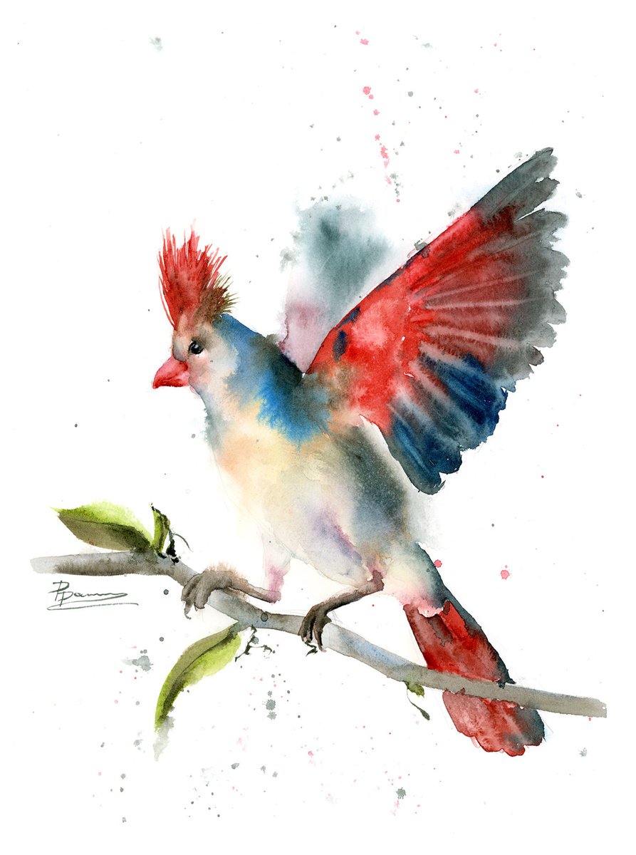 Impressionistic Animal Watercolour By Olga Tchefranov (Shefranov), 11 X 15", Desert Cardinal, Original Artwork