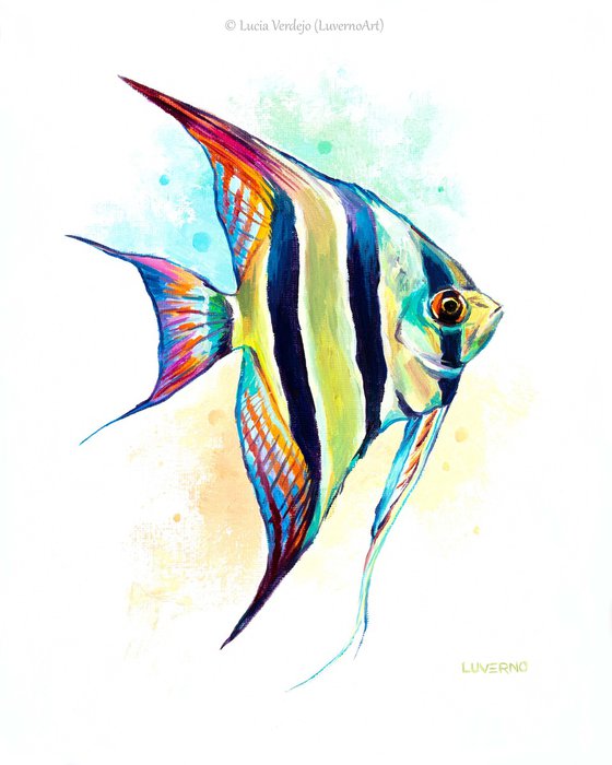 painted angel fish